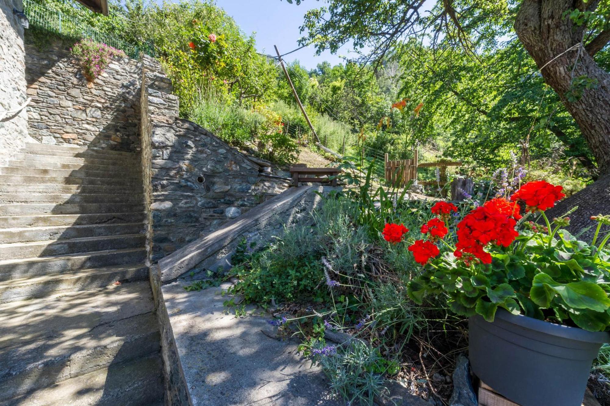Il Nido Di Letizia Apartment Chatillon Exterior photo